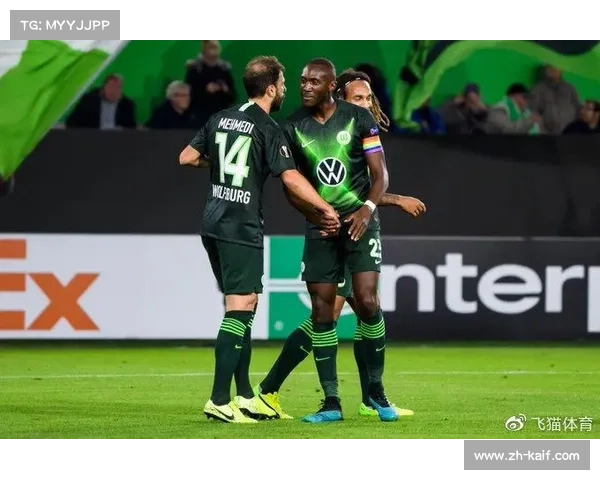 气候因素对比赛影响研究：德甲北方球队冬季主场优势分析